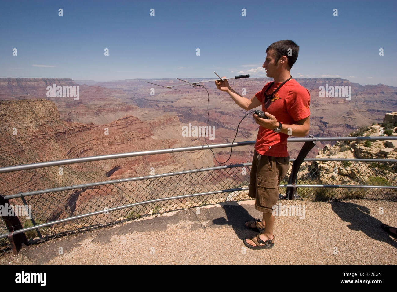 Allen's Big-eared Bat (Idionycteris phyllotis) reasearcher, Ben