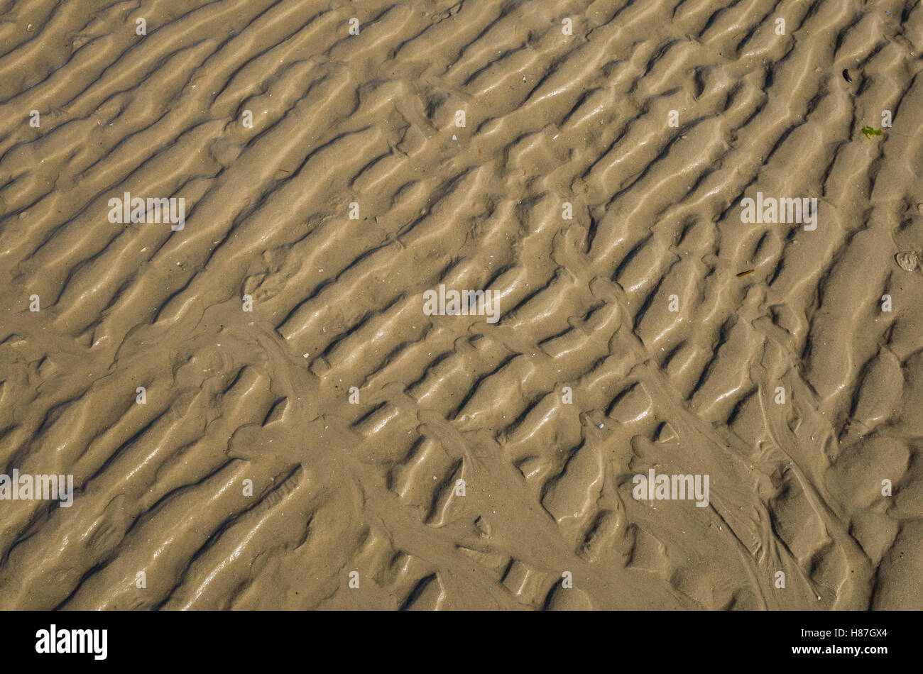 Am Strand.  Langeoog Deutschland Germany. Patterns left in the sand on the beech by the receding sea at low-tide. Stock Photo