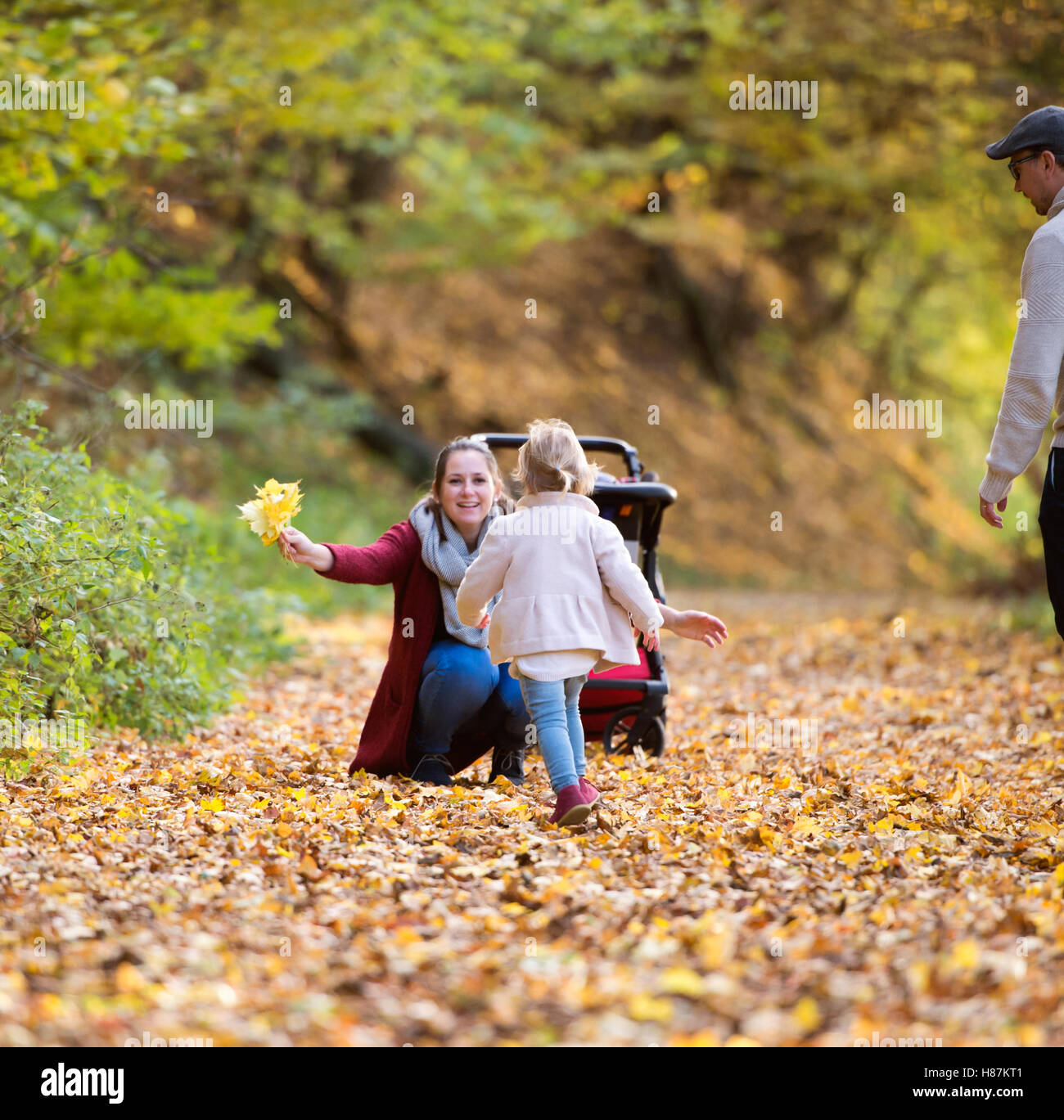 Beautiful young family on a walk in autumn forest Stock Photo - Alamy