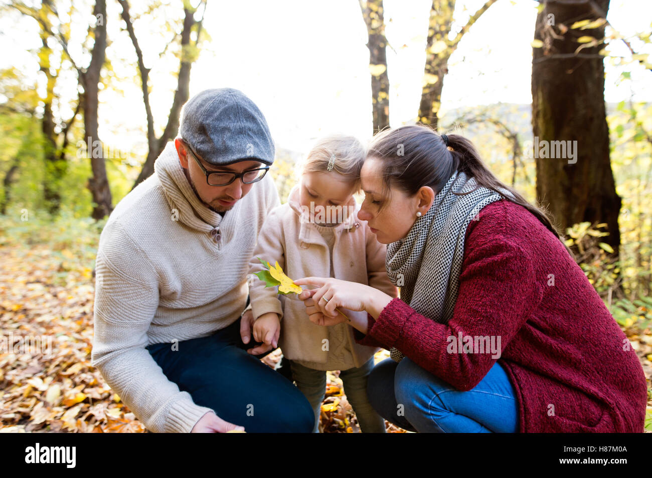 Beautiful young family on a walk in autumn forest Stock Photo - Alamy