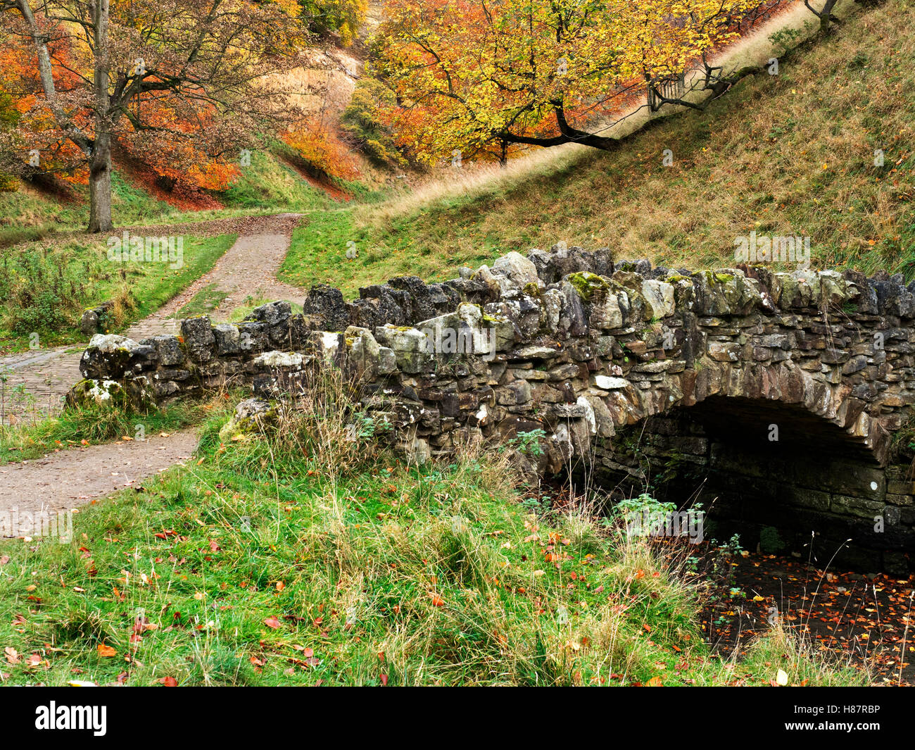 Footbridge over the River Skell in Seven Bridges Valley Studley Royal