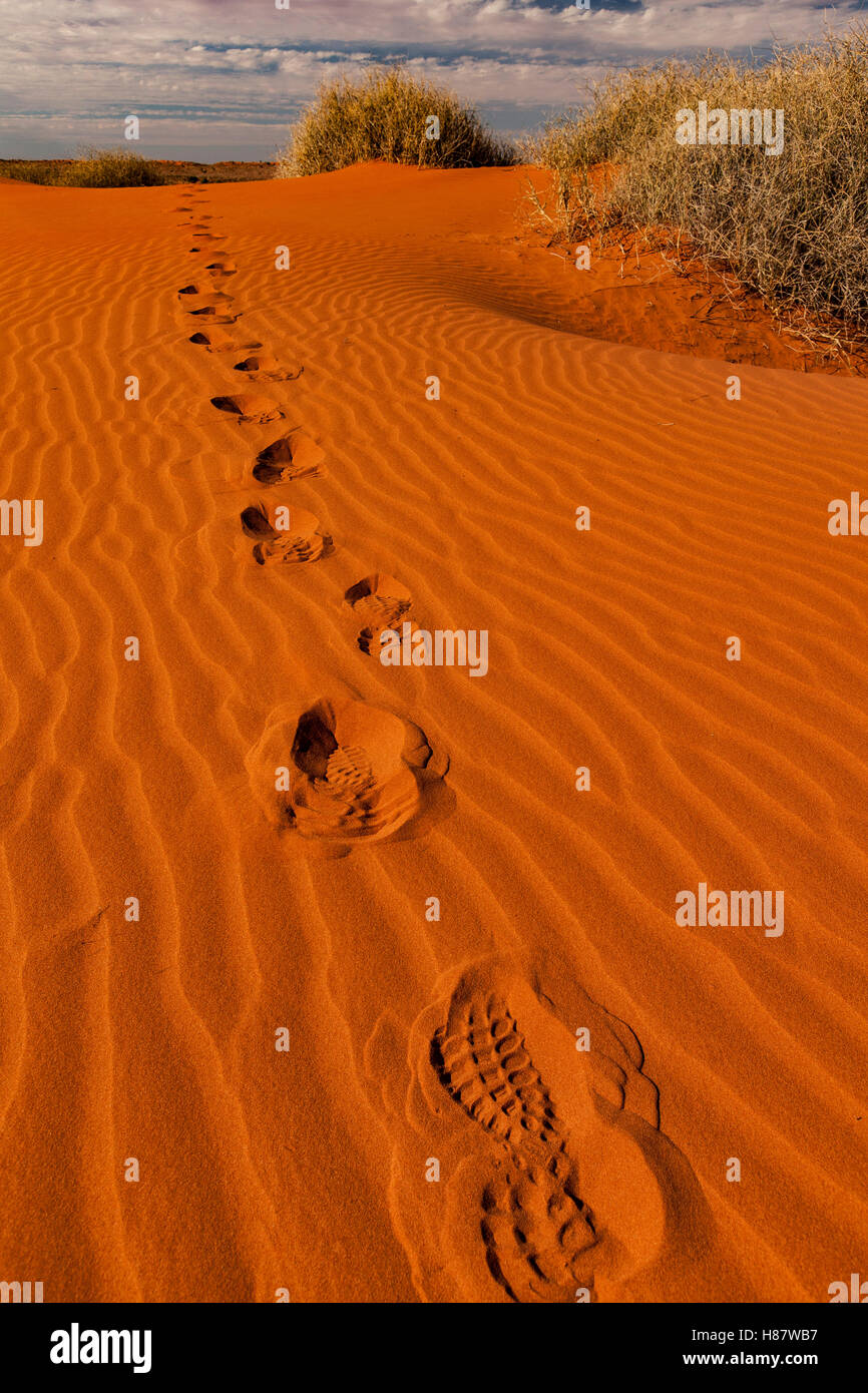 Footprints in sand dune, Simpson Desert, Northern Territory, Australia