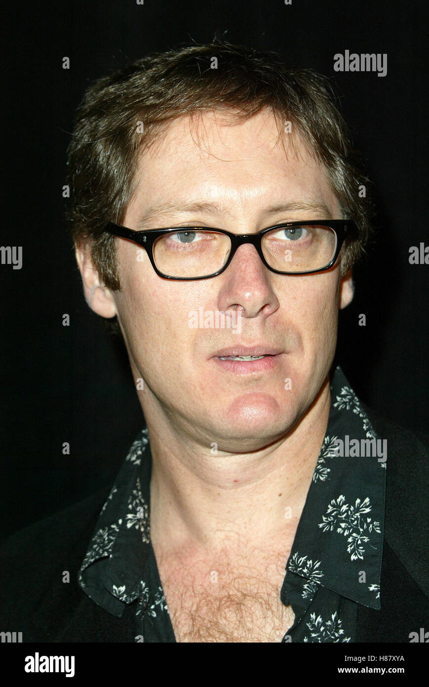 james spader king of the hill james spader stock photos james spader stock images alamy james spader king of the hill james spader stock photos james spader stock images alamy
