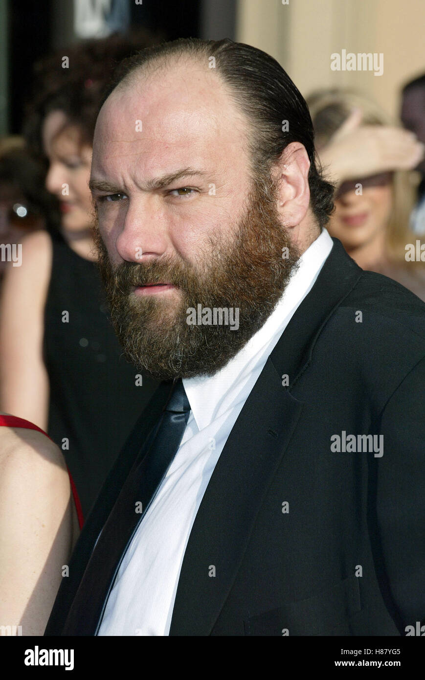JAMES GANDOLFINI 9TH SCREEN ACTORS GUILD AWARDS ARRIVALS SHRINE