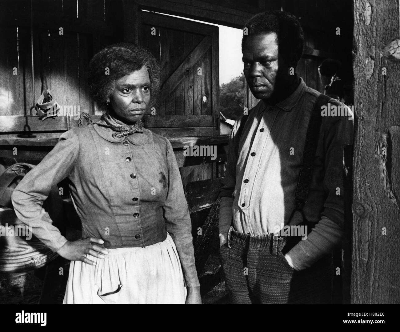Roots - Die nächste Generation, (ROOTS - THE NEXT GENERATION) Serienspecial USA 1978, Regie: Charles S. Dubin, LYNNE MOODY, GEORG STANFORD BROWN Stock Photo