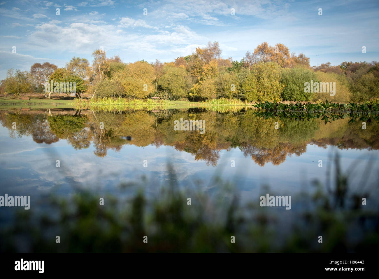 Autumn colours reflected in Little Bracebridge Pool in Sutton Park