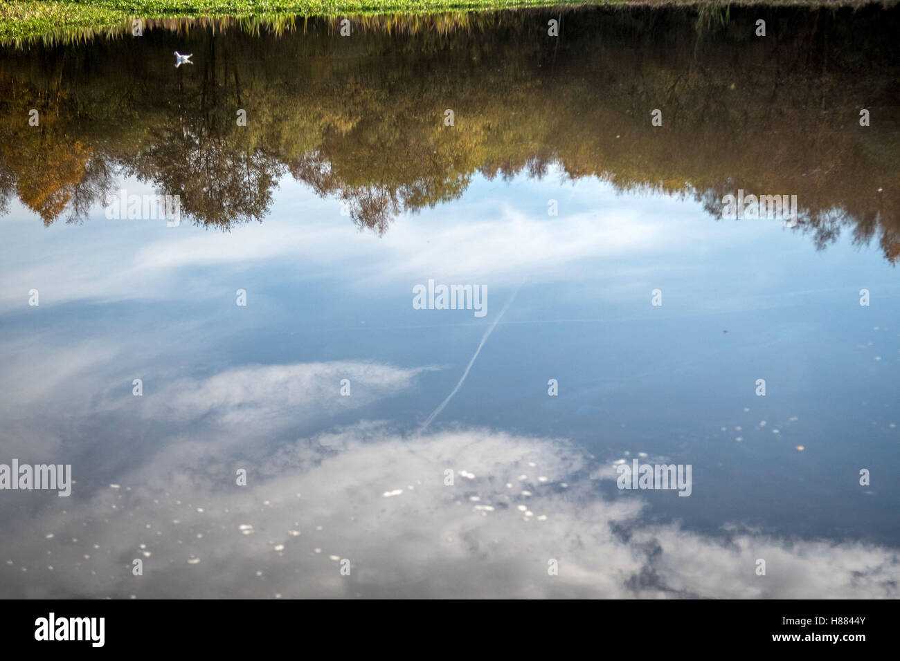 Autumn colours reflected in Little Bracebridge Pool in Sutton Park