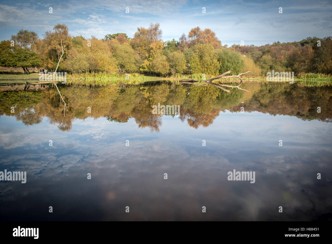 Autumn colours reflected in Little Bracebridge Pool in Sutton Park