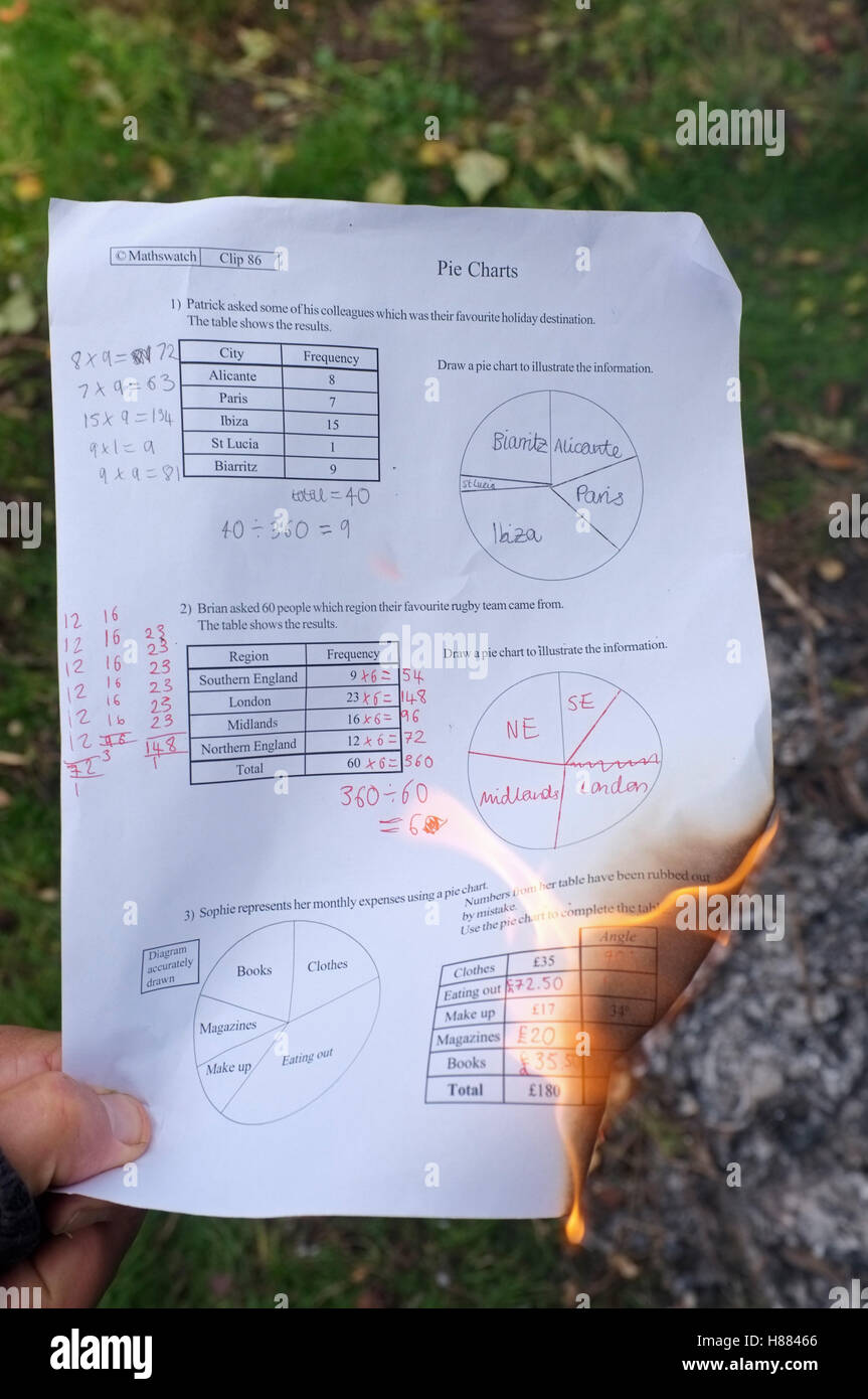 A school leaver set fire to her maths revision/homework/schoolwork Stock Photo