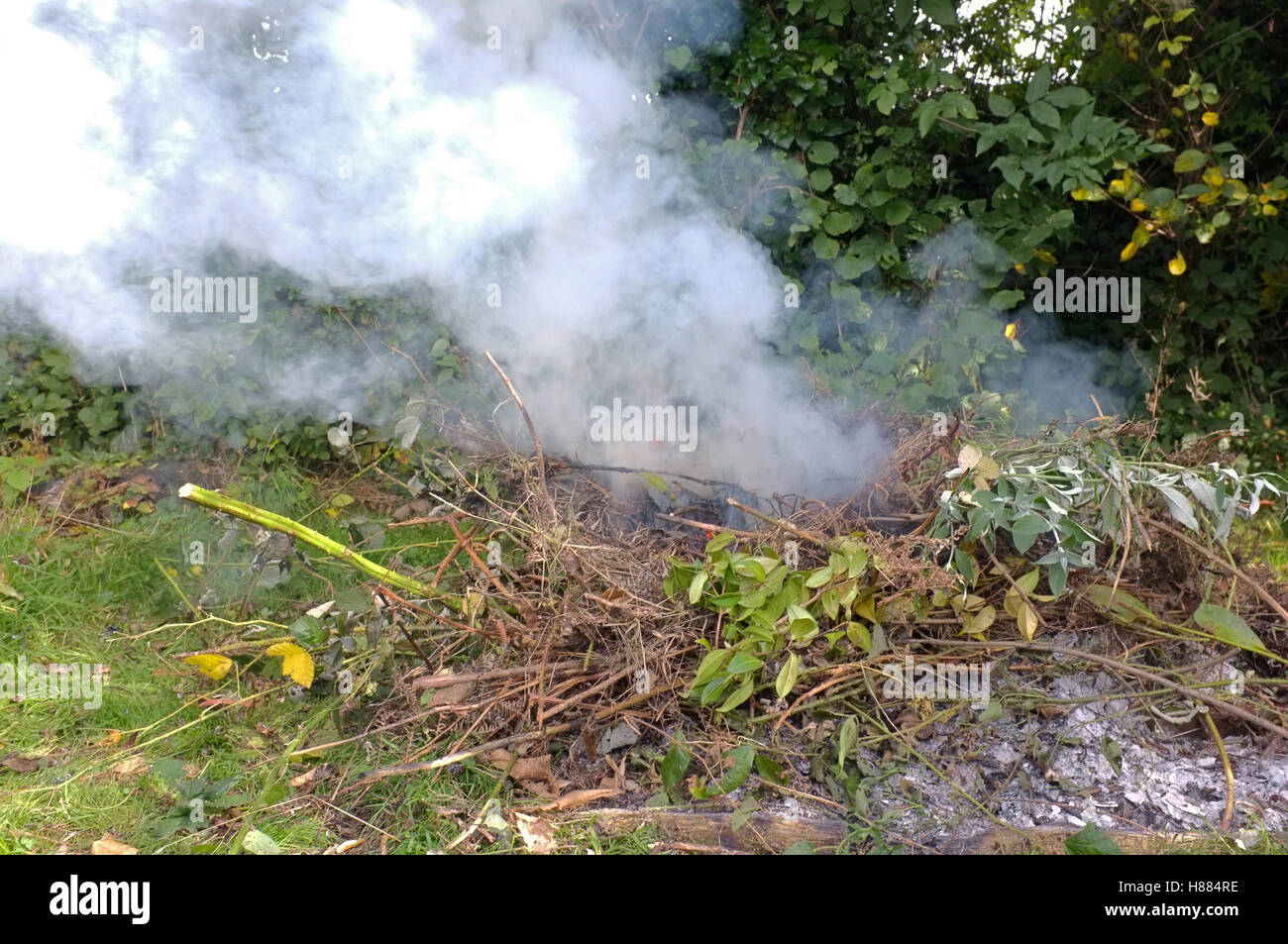 A smoky bonfire. Stock Photo