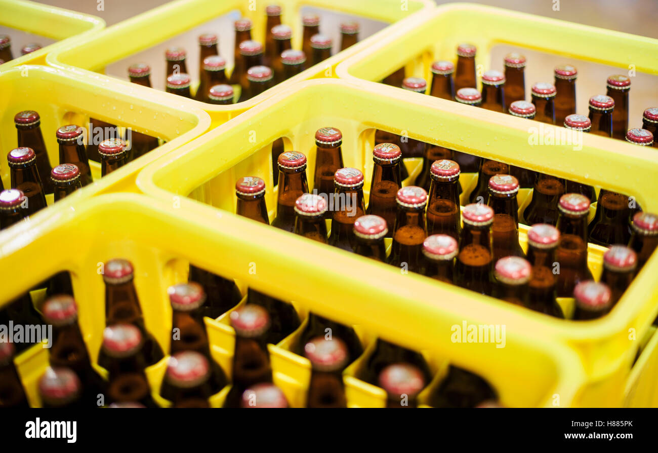 Yellow plastic crates with beer bottles in a brewery. Stock Photo