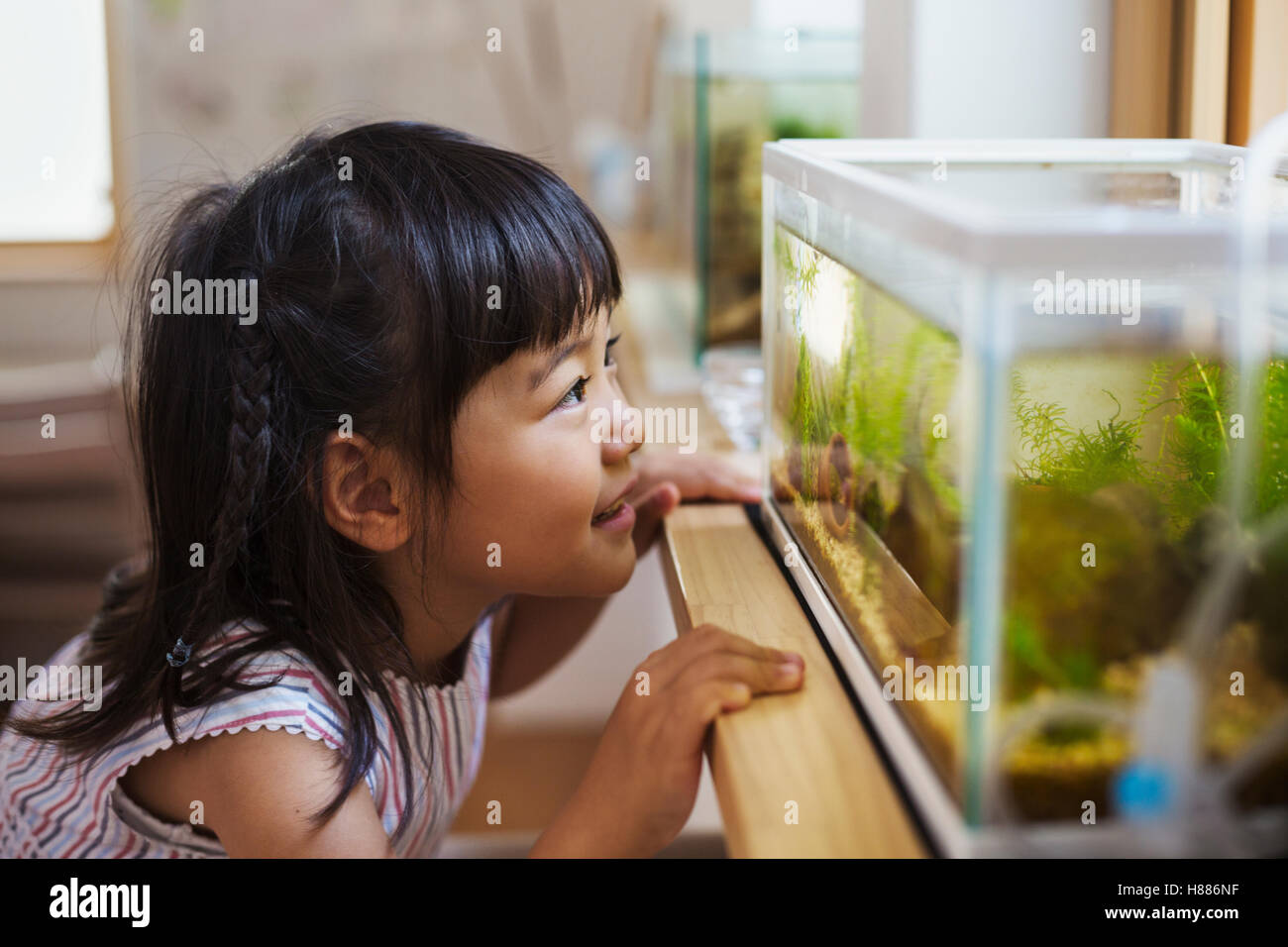 Asian girl fish fish fish hi-res stock photography and images - Alamy