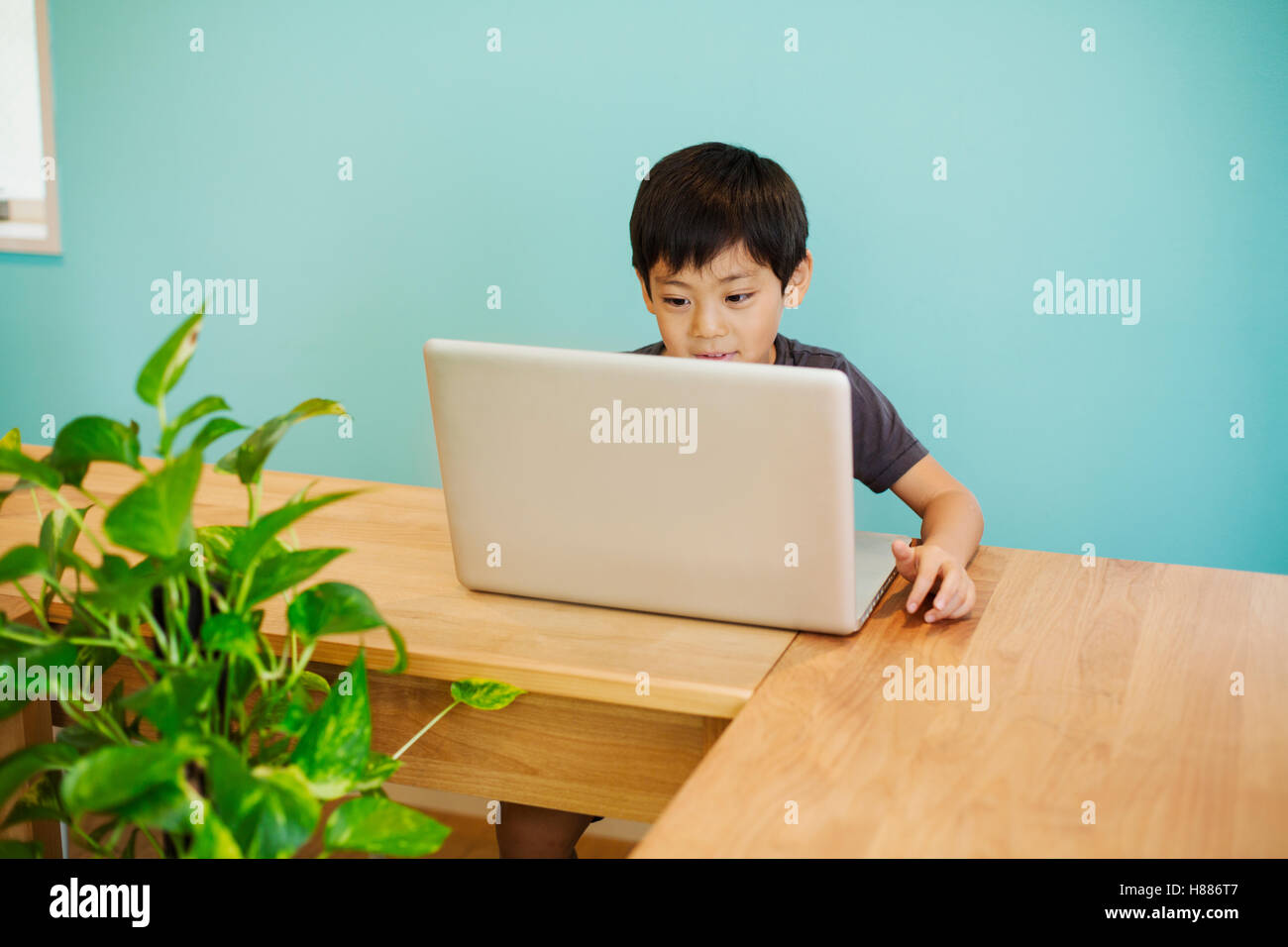 A boy using a computer in a classroom. Stock Photo