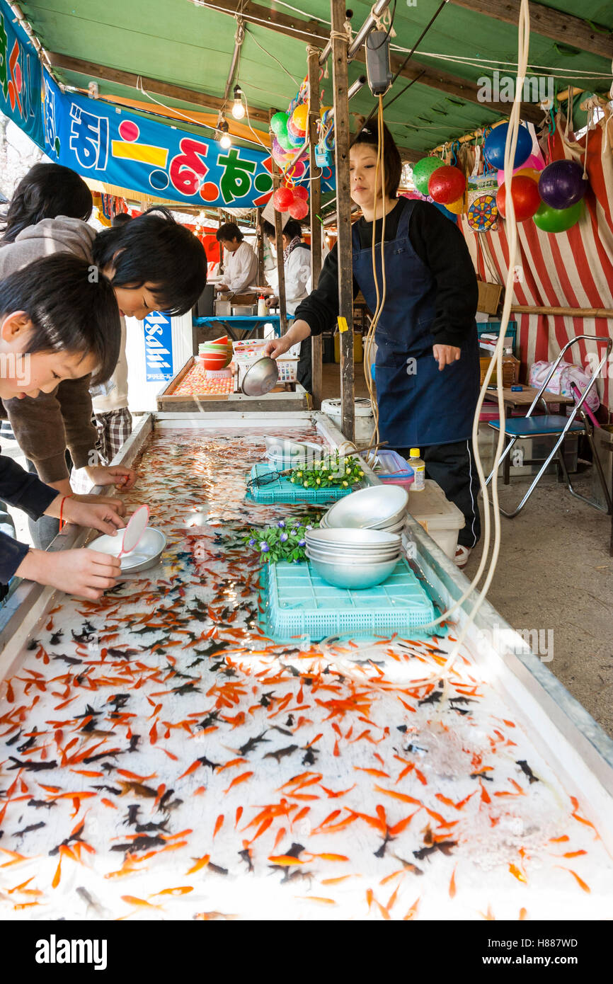 Japan, Sukugawa. Hana-mi, cherry blossom festival. Child playing kingyo- sukui, goldfish scooping game at stall. Side-view along stall, various  people Stock Photo - Alamy