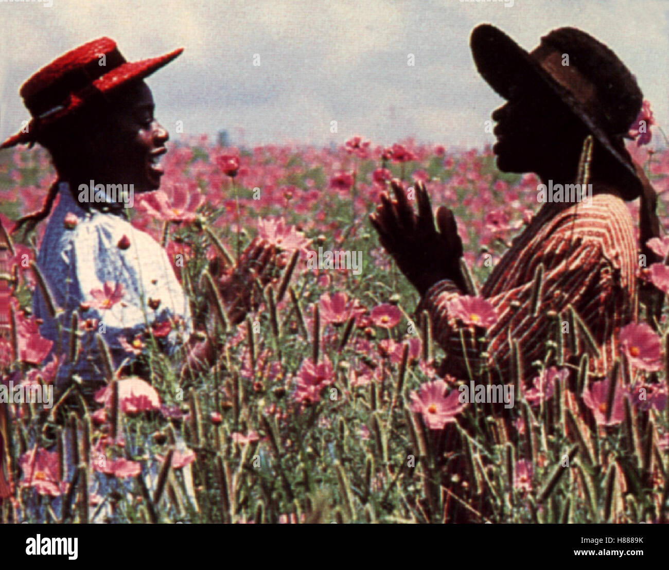 Die Farbe Lila, (THE COLOR PURPLE) USA 1985, Regie: Steven Spielberg, WHOOPI GOLDBERG, MARGARET AVERY, Stichwort: Blumen, Blüten Stock Photo