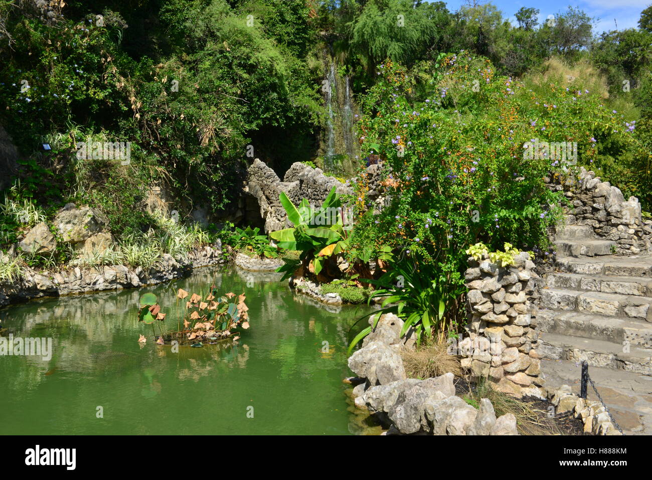 A Japanese Garden In San Antonio In Texas Stock Photo 125572264
