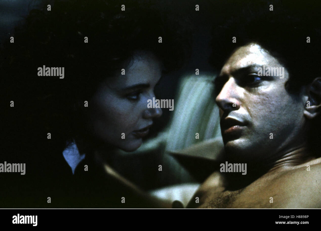 Die Fliege, (THE FLY) USA 1986, Regie: David Cronenberg, GEENA DAVIS, JEFF GOLDBLUM Stock Photo