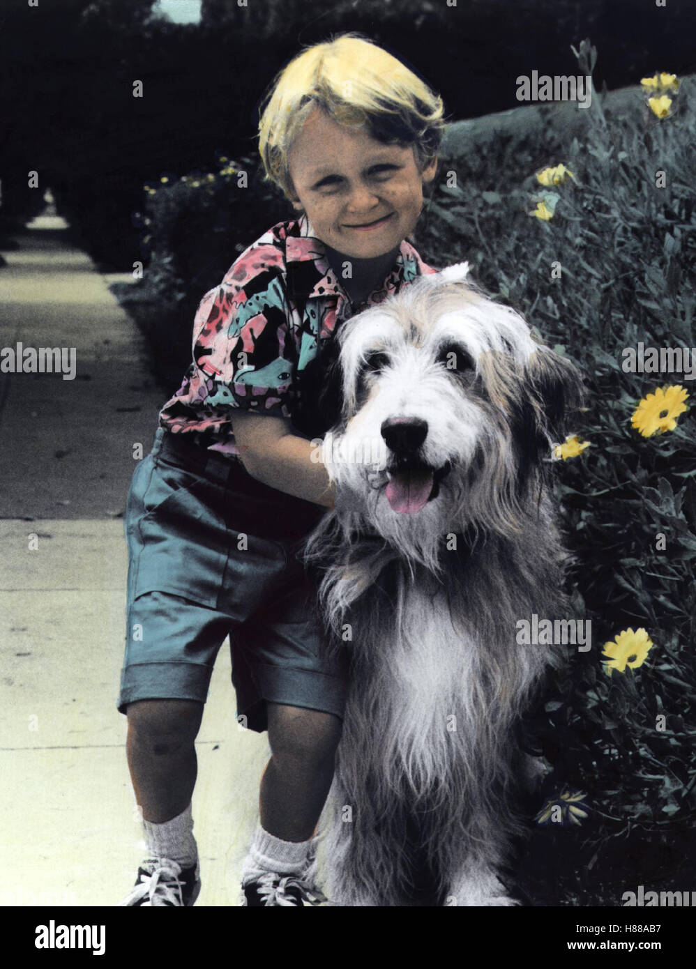 Dennis - Der Quälgeist, (DENNIS THE MENACE) USA 1987, Regie: Doug Rogers,  VICTOR DI MATTIA, Stichwort: Hund, Kind Stock Photo - Alamy