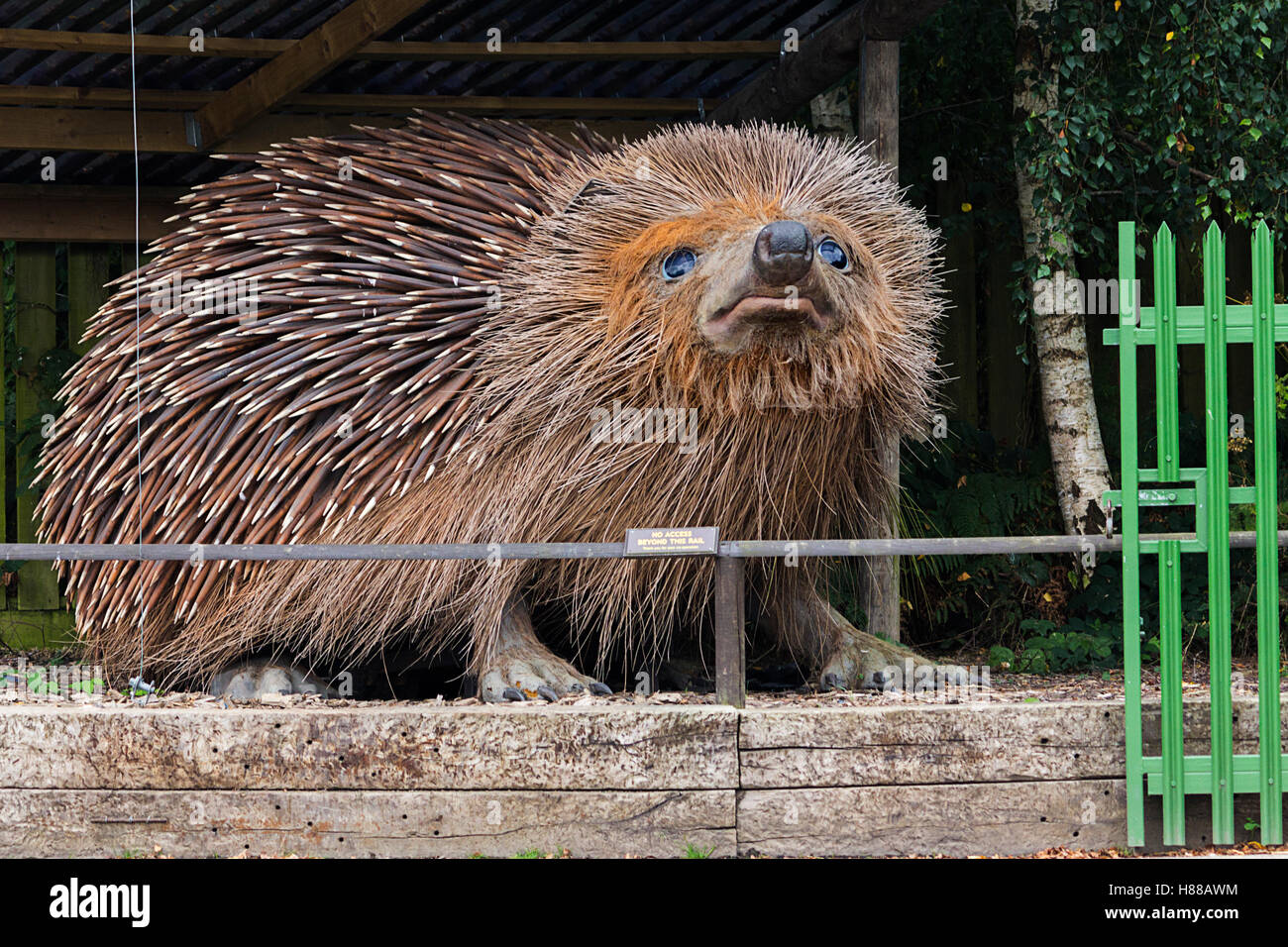 Giant replica hedgehog (erinaceus europaeus) at entrance to British Wildlife center in Surrey UK. Lifelike detailed model with spines all giant sized. Stock Photo