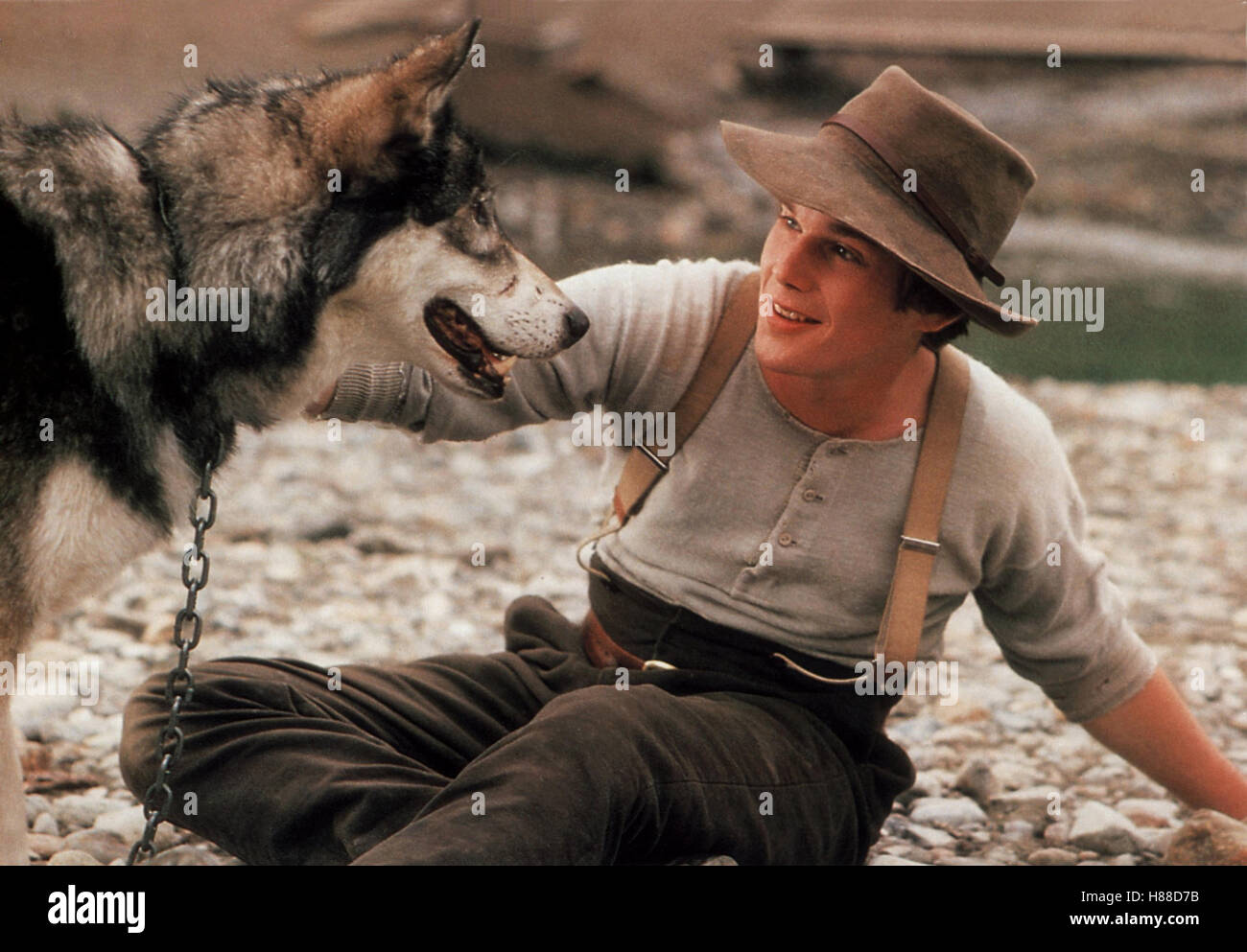 Wolfsblut, (WHITE FANG) USA 1990, Regie: Randal Kleiser, ETHAN HAWKE,  Stichwort: Hund, Huskie Stock Photo - Alamy