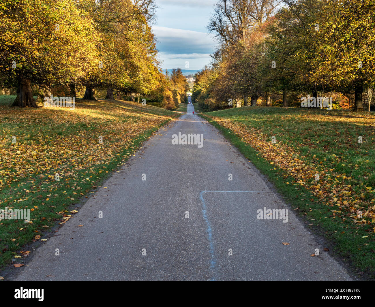 Avenue of Autumn Trees at Studley Royal with Ripon Cathedral in the Distance Ripon Yorkshire England Stock Photo