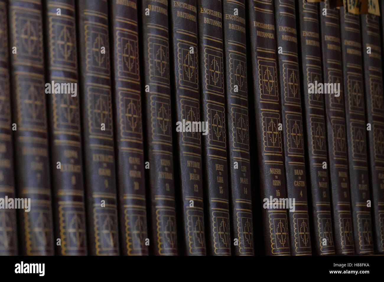 Wooden book shelves with old library books Stock Photo - Alamy