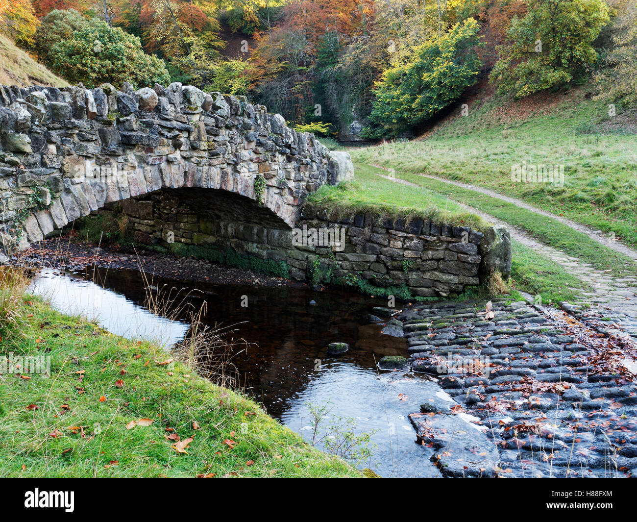 Footbridge over the River Skell in Seven Bridges Valley at Studley