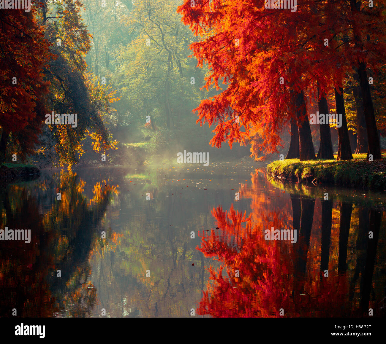 autumn in milan Stock Photo