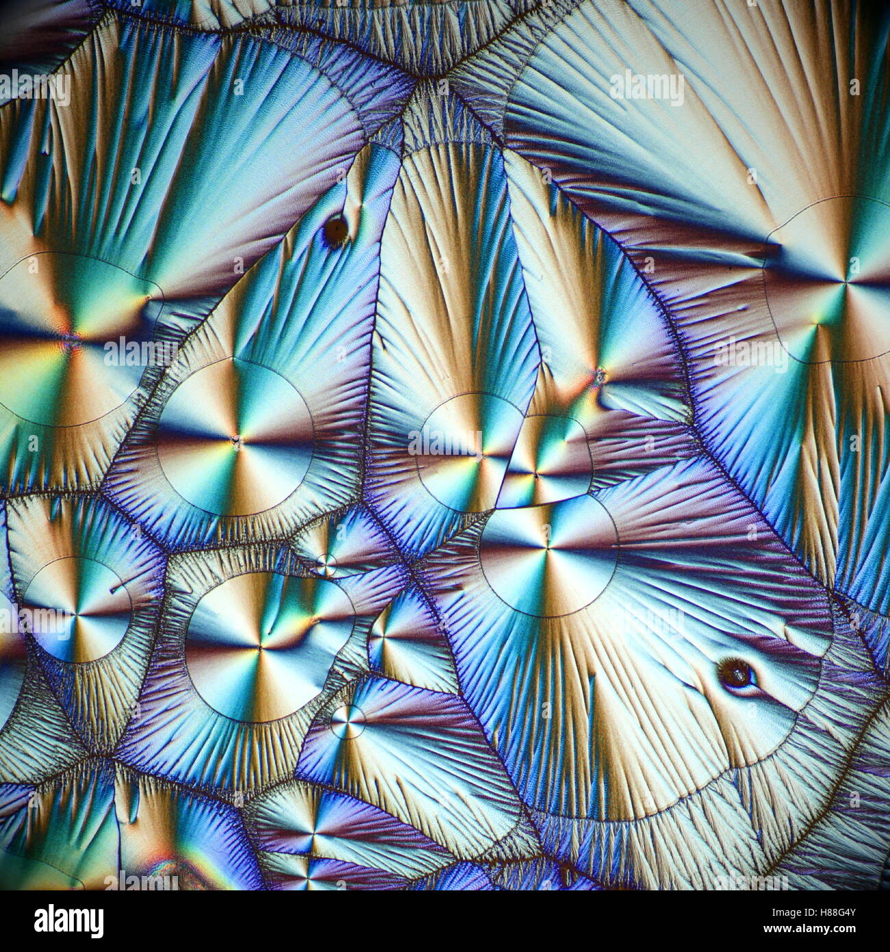 Crystals of Vitamin C, ascorbic acid. Microscope image Stock Photo Alamy