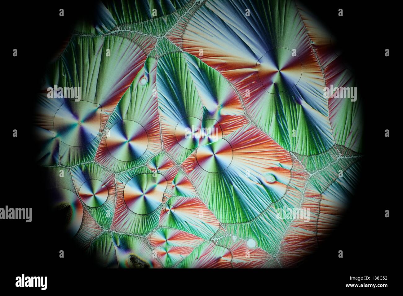 Crystals of Vitamin C, ascorbic acid. Microscope image Stock Photo Alamy