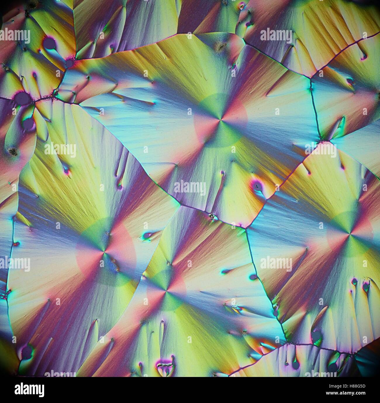 Crystals of ascorbic acid, vitamin c, microscope image Stock Photo Alamy