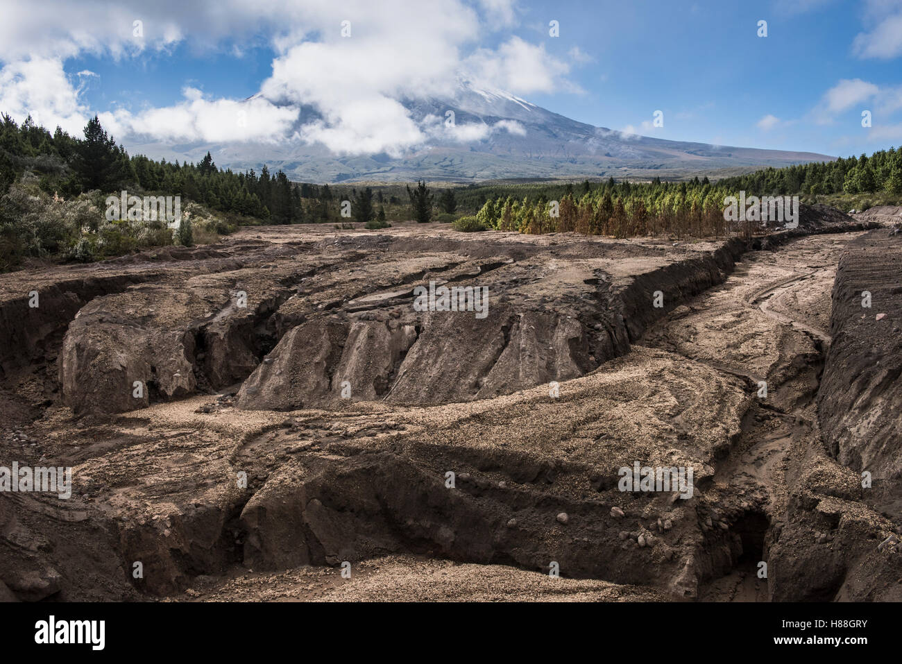 Dried mud flow caused by volcanic eruption, Cotopaxi Volcano, Cotopaxi ...