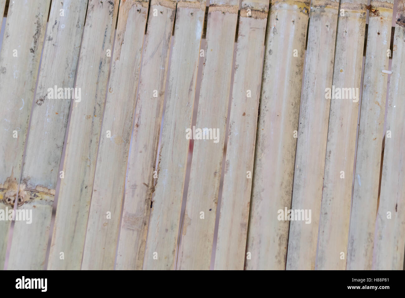 bamboo fence texture, bamboo background Stock Photo