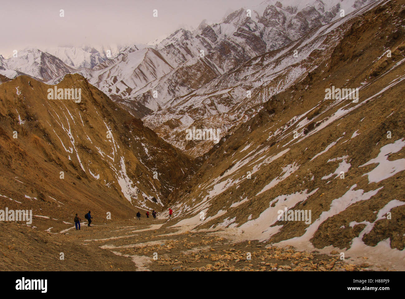 Ladakh Winter Trek Stock Photo