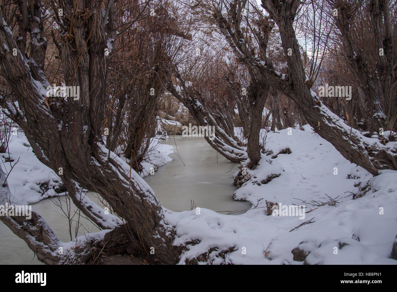 Winter Landscape in Ladakh (India) Stock Photo