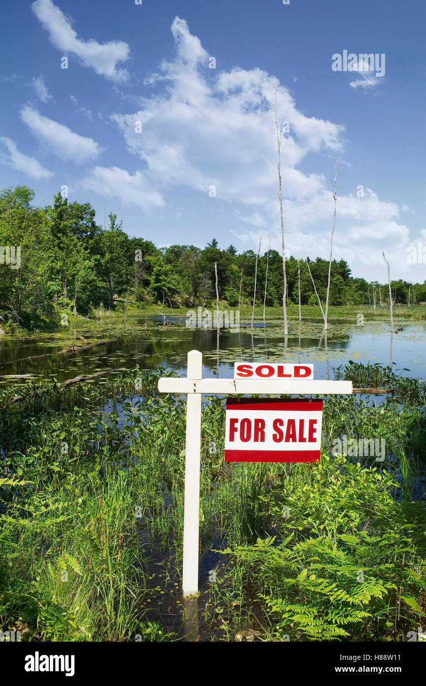 Swamp land for sale Stock Photo Alamy