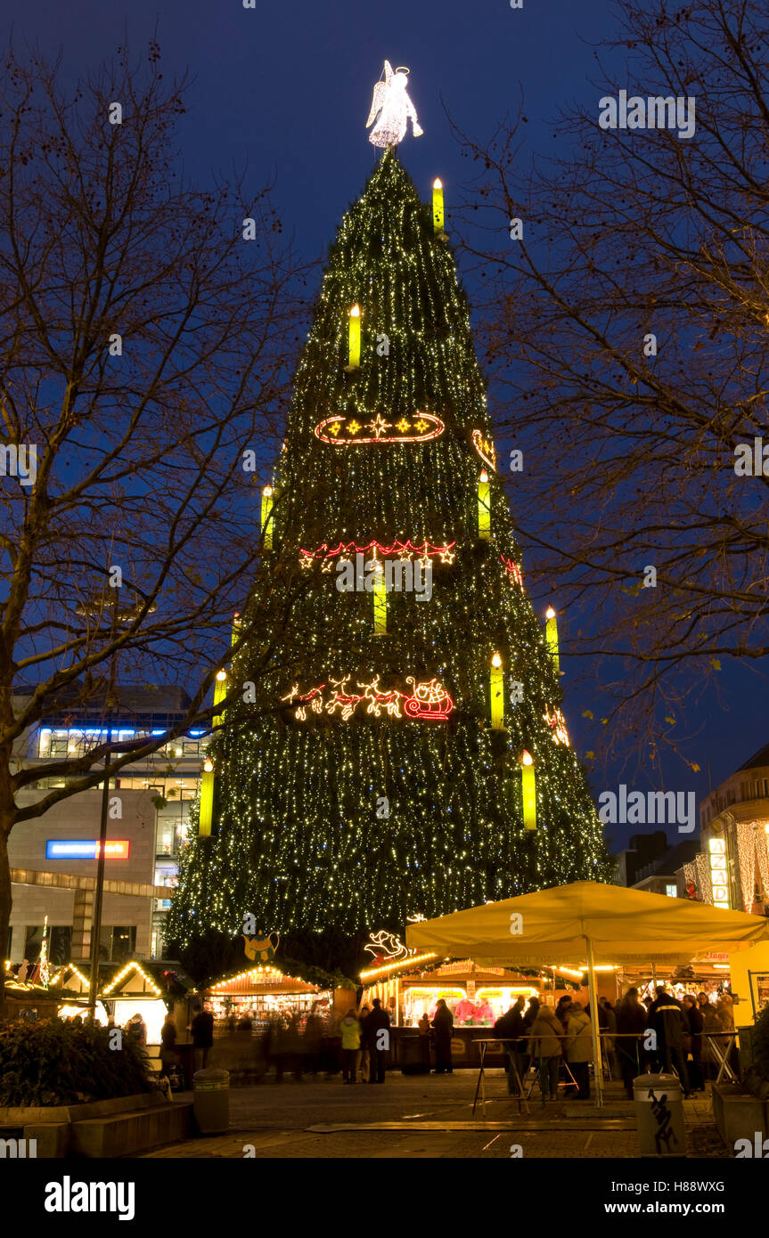 Biggest tree hires stock photography and images Alamy