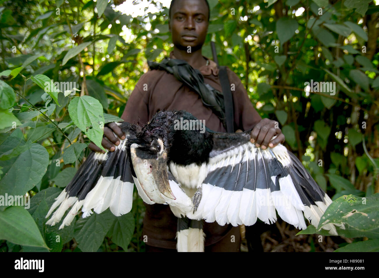 Bush meat hunter with kill, Boje Village, Cross River State, Nigeria