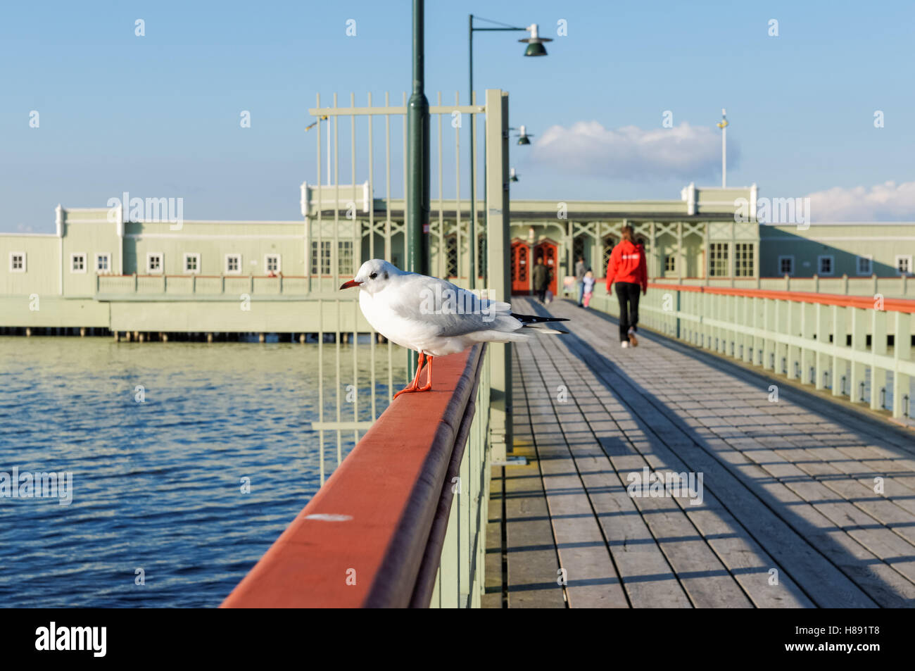 Riberborg Ribersborg open-air public bath in Malmo, Sweden Stock Photo - Alamy