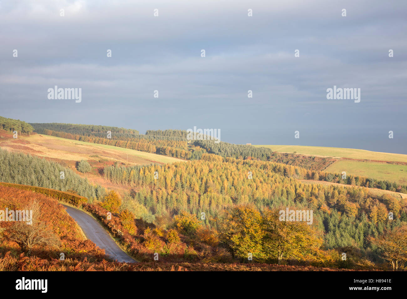 Autumn view towards the Bristol Channel from Exmoor National Park, Somerset, England, UK Stock Photo