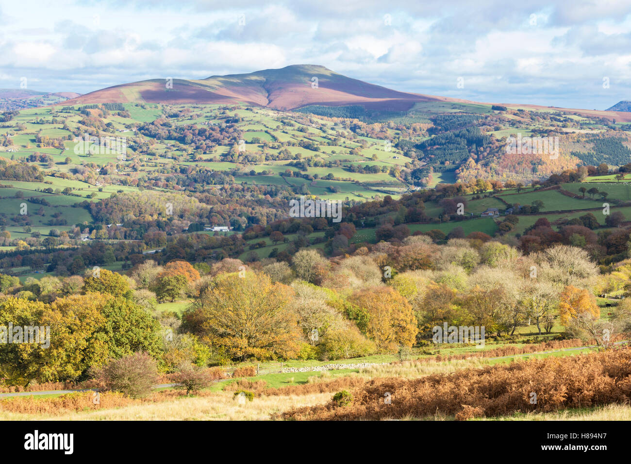 Autumn over Sugar Loaf mountain in the Usk Valley, Brecon Beacons National Park Monmouthshire, South Wales, UK Stock Photo