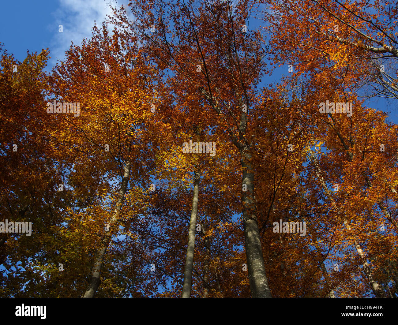 Blue orange red colours hi-res stock photography and images - Alamy