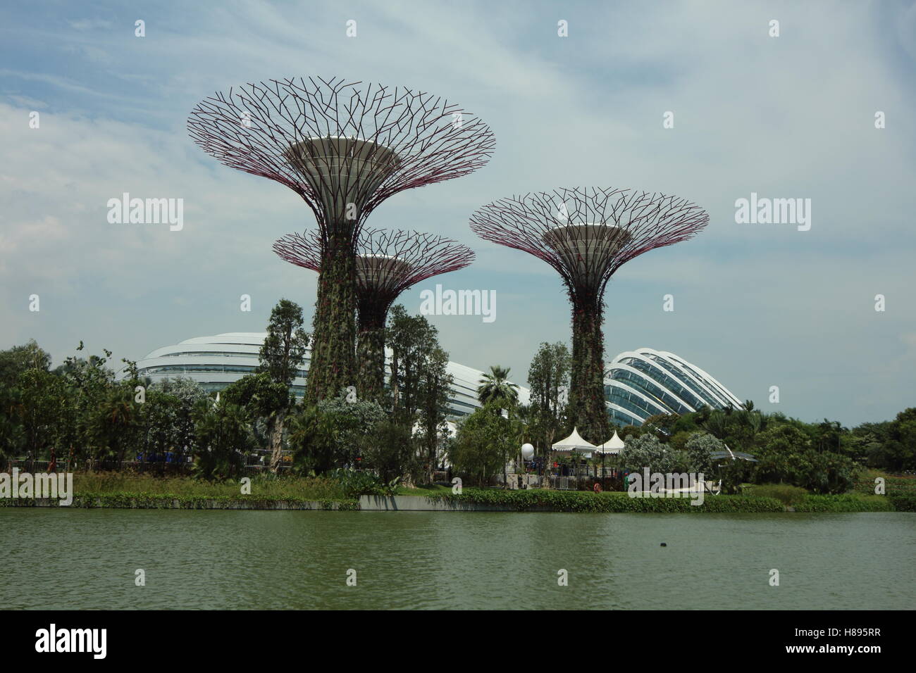 Singapore Gardens by the Bay Stock Photo