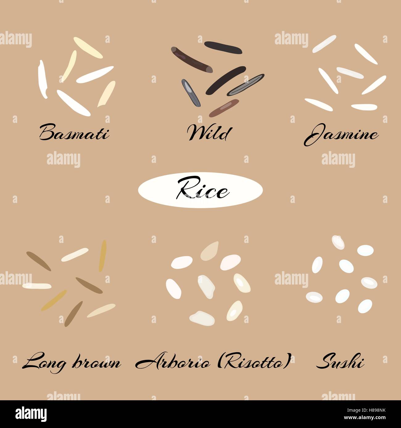 Different types of rice Basmati, wild, jasmine, long brown, arborio