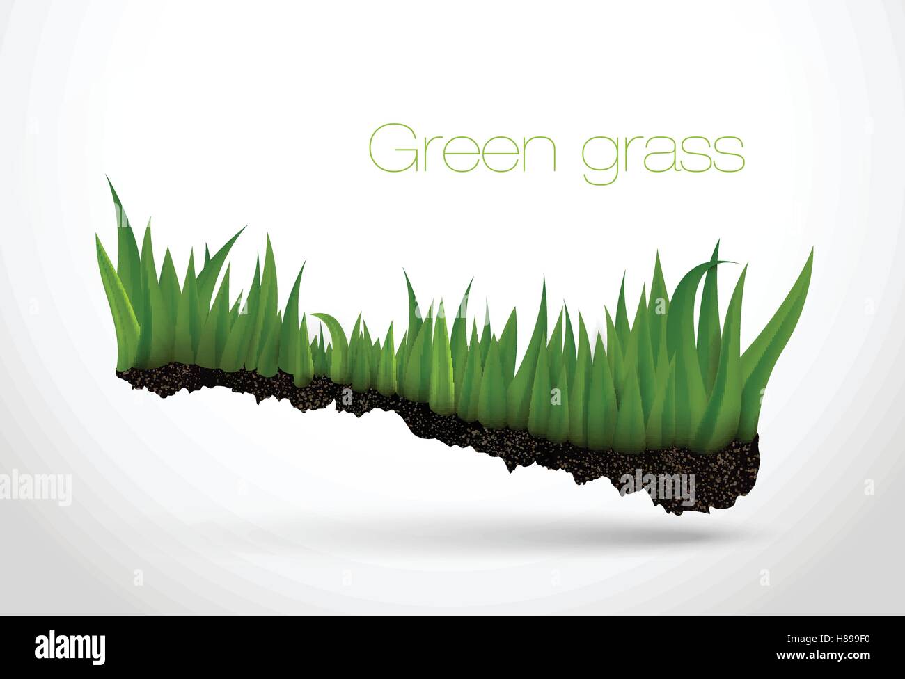 Green grass and leaves. summer and spring background Stock Vector Image ...
