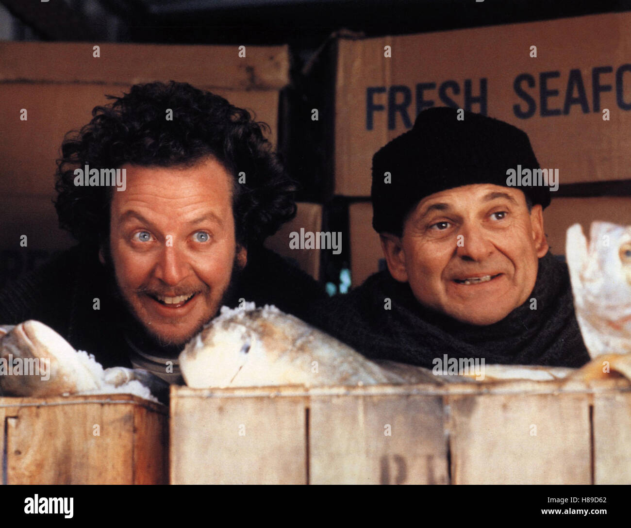 home alone 2 kevin in new york