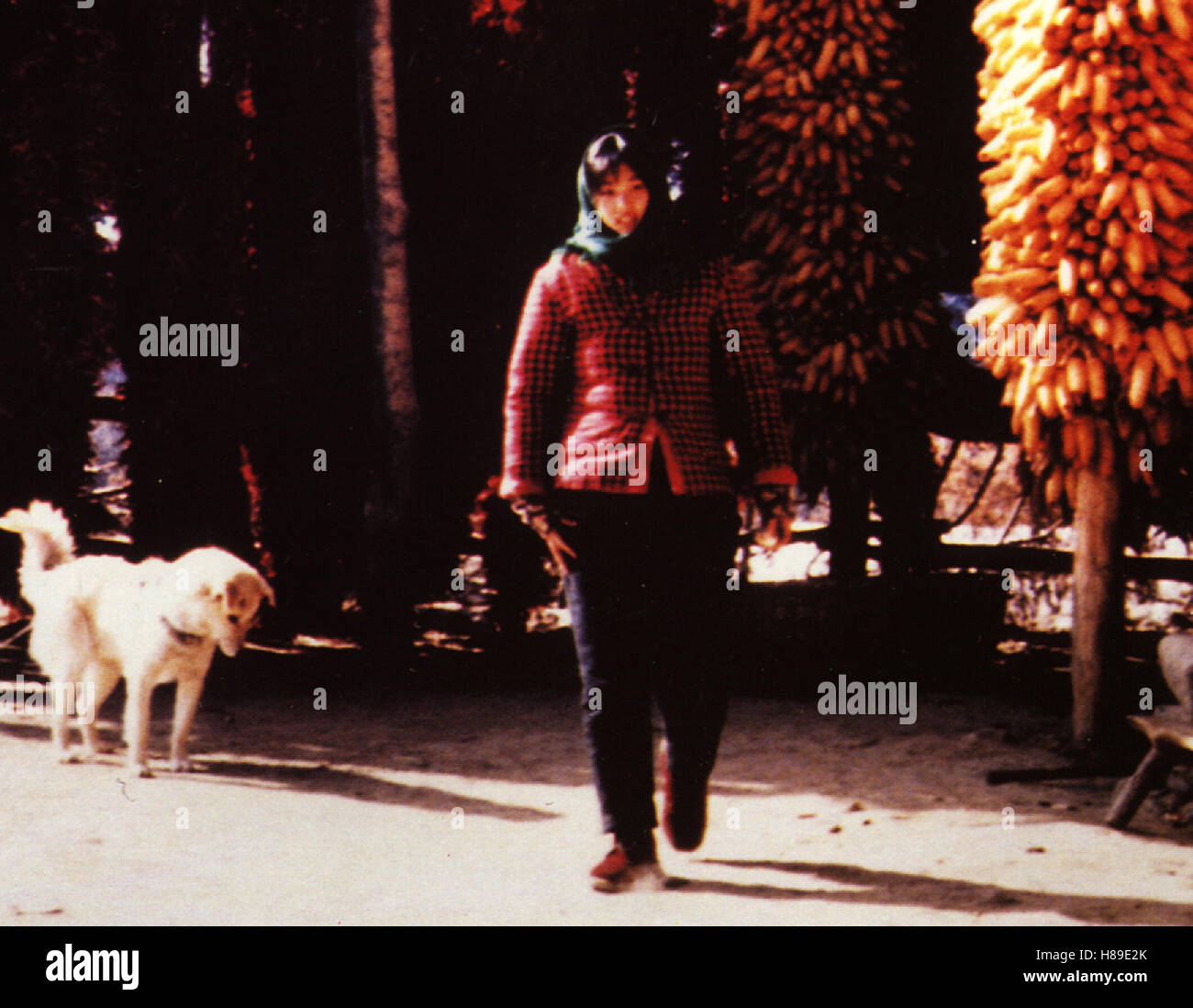 Die Geschichte der Qiu Ju, (QIU JU) CHIHK 1992, Regie Zhang Yimou