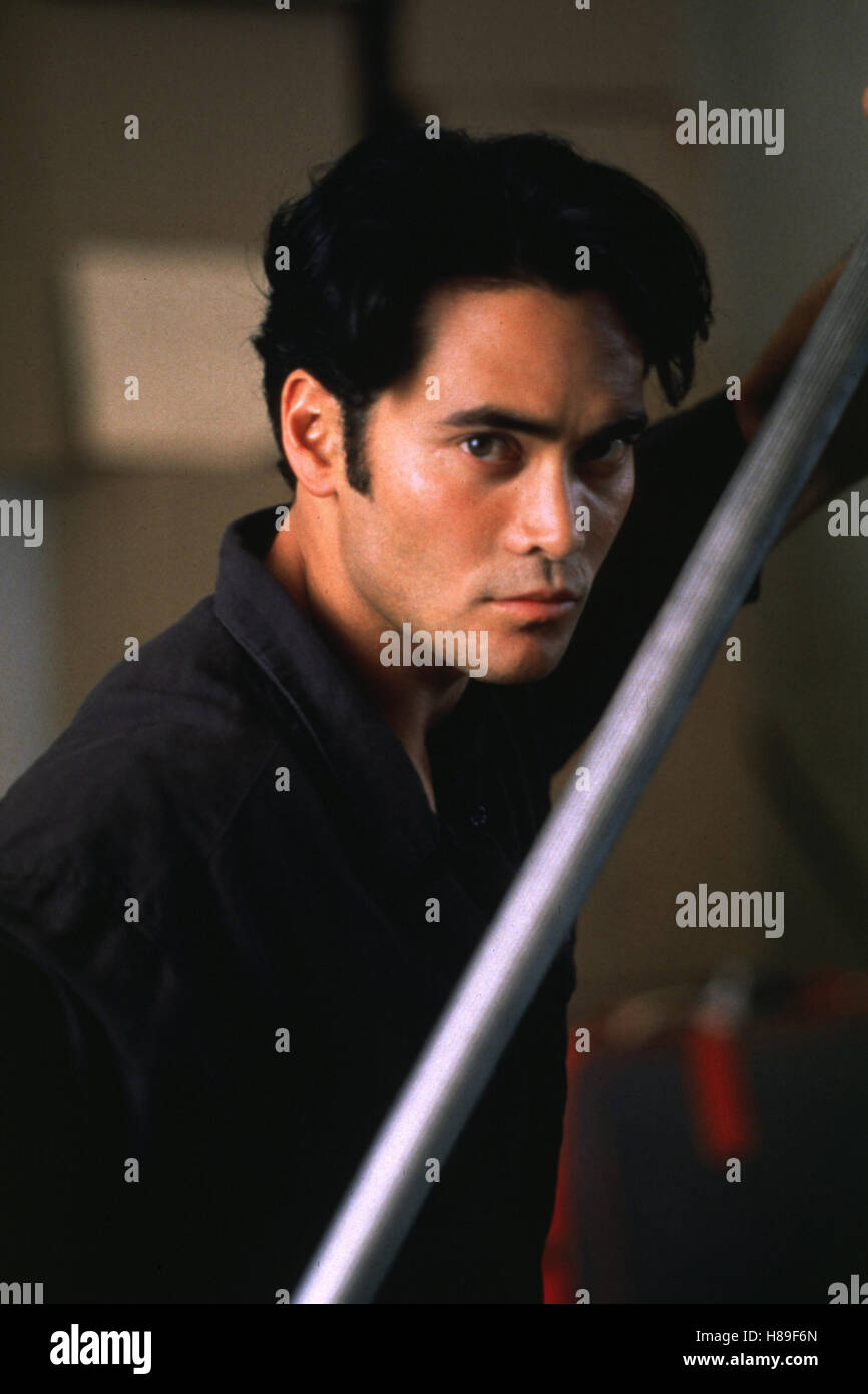 Mark Dacascos Photo - MobyGames