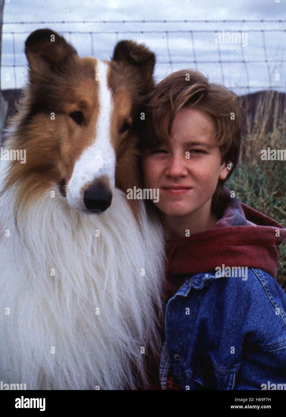 Lassie film movie hi-res stock photography and images - Page 2 - Alamy