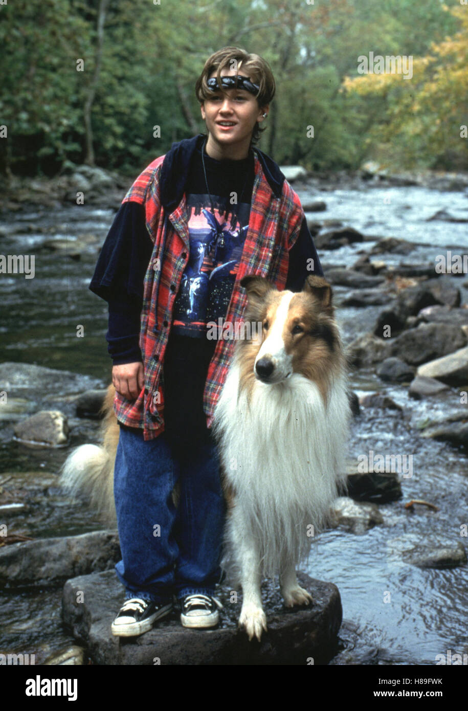 Lassie (1994) French dvd movie cover